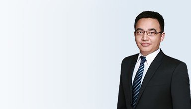 招标投标 股权纠纷 融资借款 法律顾问