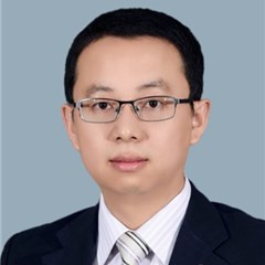 招标投标 股权纠纷 融资借款 法律顾问