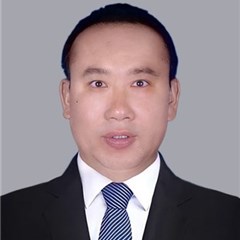 招标投标 股权纠纷 融资借款 法律顾