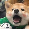 就近匹配，方便考察